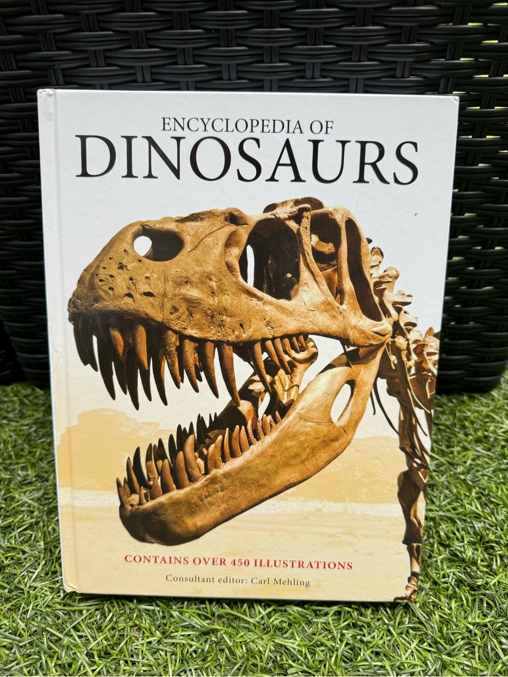 🦖 Encyclopedia of Dinosaurs Hardcover Book Carl Mehling Amber Books Like New